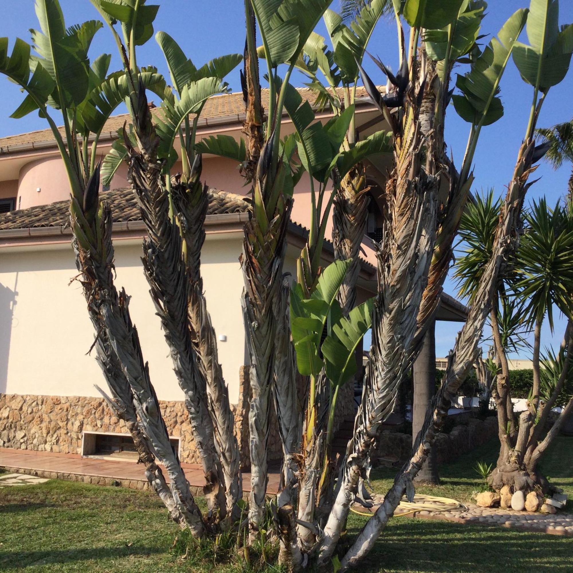 B&B Sicilia Bella Cassibile Bagian luar foto